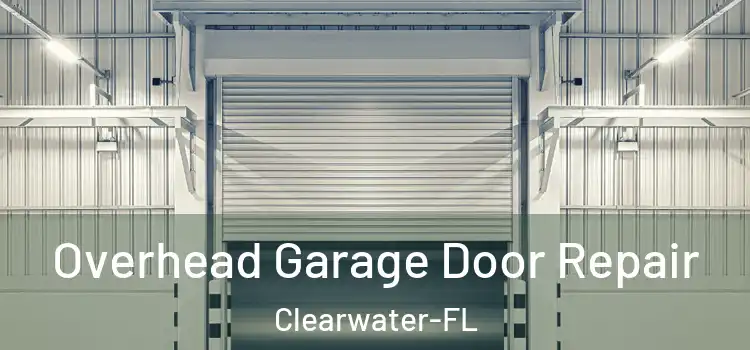 Overhead Garage Door Repair Clearwater-FL