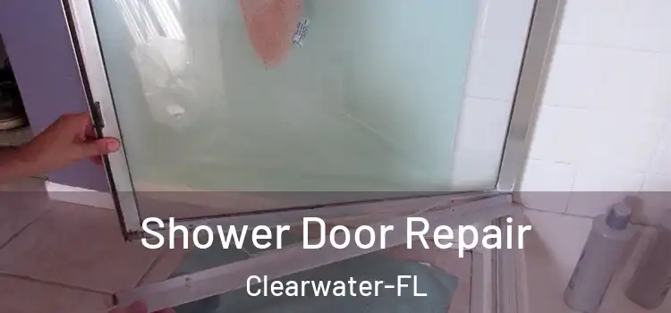 Shower Door Repair Clearwater-FL