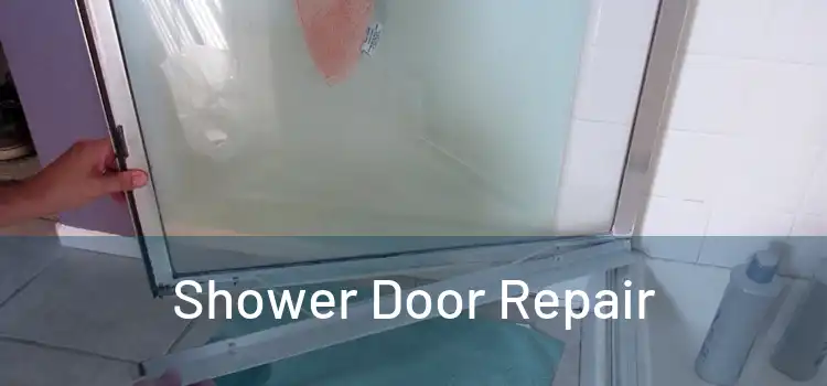 Shower Door Repair